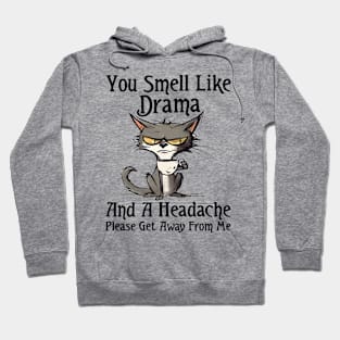 Funny Cat You Smell Like Drama And A Headache Funny Saying Hoodie